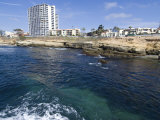 Child's Beach, La Jolla, Near San Diego, California, United States of America, North America Photographic Print by Ethel Davies
