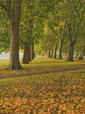 Autumn, Hyde Park, London, England, United Kingdom, Europe Photographic Print by James Emmerson