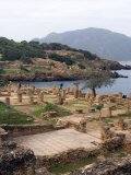 Roman Site of Tipasa, UNESCO World Heritage Site, Algeria, North Africa, Africa Photographie par Ethel Davies