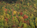 Aerial View over Autumnal Forest Canopy, Near Green Knob, Blue Ridge Parkway, North Carolina, USA Photographic Print by James Green