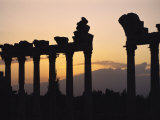 Columns in Public Building, Probably the Court of Justice, Baalbek, Lebanon, Middle East Photographic Print by Fred Friberg