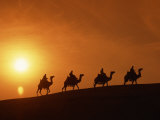 Riders Silhouetted on Camels at Sunset, Giza, Cairo, Egypt, North Africa, Africa Photographic Print by Nigel Francis