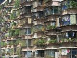 Detail of Housing, Guangzhou, China Photographic Print by Tim Hall
