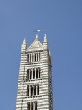 Campanile, Bell Tower of the Duomo, Siena, Tuscany, Italy, Europe Photographic Print by Robert Harding