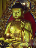 Statue of the Buddha, Polin Temple and Monastery, Lantau Island, Hong Kong, China Photographic Print by Alain Evrard