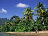 Palm Lined Beach, Dominica, West Indies, Caribbean, Central America Photographic Print by Fred Friberg