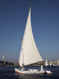 Felucca Sailing on the River Nile at Aswan, Egypt, North Africa, Africa Photographic Print by Mcconnell Andrew