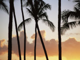 Salt Water Pond State Park, Kauai, Hawaii, USA, Pacific Photographie par McCoy Aaron