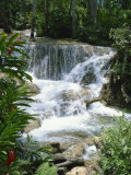 Dunns River Falls, Ocho Rios, Jamaica, West Indies, Caribbean, Central America Photographic Print by Harding Robert Dunns River Falls, Ocho Rios, Jamaica, West Indies, Caribbean, Central America Photographic Print by Harding Robert