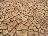 Arid Landscape of Dry Cracked Earth in a Drought, South Australia, Australia, Pacific Photographic Print by Mawson Mark