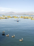 Two Men Bring in Harvest of the Sea, Chimbote, Chile, South America Photographic Print by McCoy Aaron