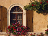 Window with Shutters and Window Box, Italy, Europe Photographic Print by Hart Kim