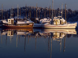 Fishing Boats Moored at Dusk, Oslo Fjord, Bestum Kilen, Near Oslo, Norway, Scandinavia, Europe Photographic Print by Hart Kim
