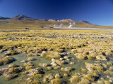 El Tatio Geyser in the San Pedro De Atacama, Chile, South America Photographic Print by Mcleod Rob