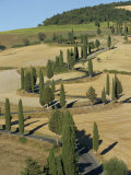 Cypress Trees Line a Winding Rural Road Near Pienza in Tuscany, Italy, Europe Photographic Print by Gavin Hellier