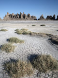 Desolate Landscape of Lac Abbe, Dotted with Limestone Chimneys, Djibouti, Africa Photographic Print by Mcconnell Andrew