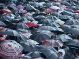 Sea of Umbrellas, Shanghai, China Photographic Print by Gavin Hellier
