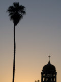 Silhouette of Palm Tree Next to Church, La Serena, Chile, South America Photographic Print by McCoy Aaron