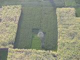 Fields Along the Nile, Near the Town of Luxor, Egypt, North Africa, Africa Photographic Print by Olivieri Oliviero