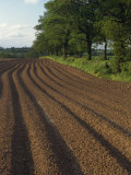 Furrows in a Ploughed Field Near Coleshill in Warwickshire, England, United Kingdom, Europe Photographic Print by Hughes David