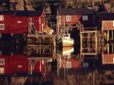 Rorbuer at Kremmervika, Ballstad, Lofoten, Norway, Scandinavia Photographic Print by Hart Kim