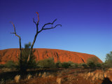 Ayers Rock at Sunrise, Uluru-Kata Tjuta National Park, Northern Territory, Australia, Pacific Photographic Print by Mawson Mark