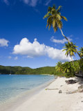Cinnamon Bay Beach and Palms, St. John, U.S. Virgin Islands, West Indies, Caribbean Photographic Print by Gavin Hellier