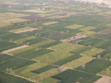 Fields Along the Nile, Egypt, North Africa, Africa Photographic Print by Olivieri Oliviero