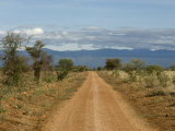 Meru National Park, Kenya, East Africa, Africa Photographic Print by Pitamitz Sergio