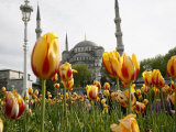 Blue Mosque, Istanbul, Turkey, Europe Photographic Print by Levy Yadid