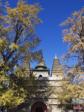 Zhen Jue Temple, Beijing, China Photographic Print by Kober Christian