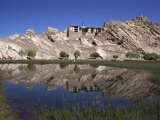 Old Summer Palace of the Kings of Ladakh and Gompa, Shey, Ladakh, India Photographic Print by Pate Jenny