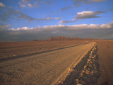 Pampa, Llalqui, Atacama Desert, Chile, South America Photographic Print by Mcleod Rob