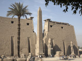 Luxor Temple, Thebes, UNESCO World Heritage Site, Egypt, North Africa, Africa Photographic Print by Mcconnell Andrew
