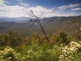 Alpine High Country, Snowy River National Park, Victoria, Australia, Pacific Photographic Print by Schlenker Jochen