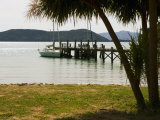 Ships Cove, Marlborough Sounds, South Island, New Zealand Photographic Print by Smith Don