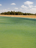 Birket Siwa, Siwa Oasis, Western Desert, Egypt, North Africa, Africa Photographic Print by Schlenker Jochen