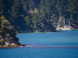 Boat at a Private Pier, Marlborough Sounds, South Island, New Zealand, Pacific Photographic Print by Smith Don