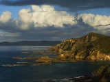Coastline, Bay of Islands, North Island, New Zealand, Pacific Photographic Print by Schlenker Jochen
