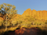 Bungle Bungle, Purnululu National Park, Kimberley, Western Australia, Australia, Pacific Photographic Print by Schlenker Jochen