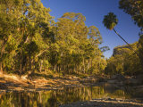 Carnarvon Creek, Carnarvon Gorge, Carnarvon National Park, Queensland, Australia, Pacific Photographic Print by Schlenker Jochen