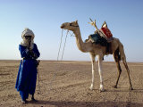 Tuareg Tribesman and Camel, Niger, Africa Photographie par Rawlings Walter