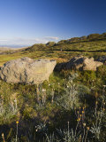 High Country, Bogong High Plains, Apline National Park, Victoria, Australia, Pacific Photographic Print by Schlenker Jochen