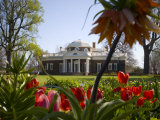 Thomas Jefferson's Monticello, UNESCO World Heritage Site, Virginia, USA Photographic Print by Snell Michael