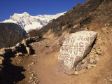 Mani Stones Printed with Tibetan Prayers Beside a Track in Solu Khumbu, Nepal Photographic Print by Wright Alison