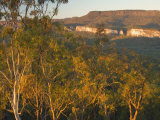 Carnarvon Gorge, Carnarvon National Park, Queensland, Australia, Pacific Photographic Print by Schlenker Jochen