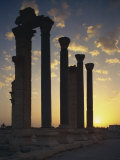Sunrise on Main Street, Palmyra, UNESCO World Heritage Site, Syria, Middle East Photographic Print by Simanor Eitan