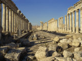 Cardo, Apamea, Syria, Middle East Photographic Print by Simanor Eitan