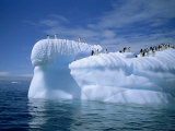 Adelie Penguins on Icebergs, Antarctica, Polar Regions Photographic Print by Renner Geoff