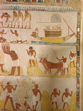 Harvesting Scene from the Time of the 18th Dynasty, Tomb of Menna, Thebes, Egypt Photographie par Rawlings Walter